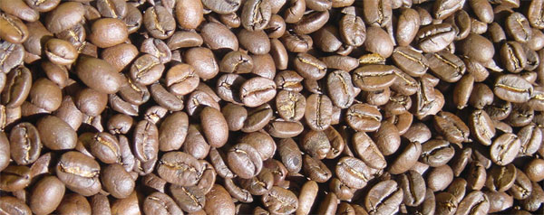 caffe
